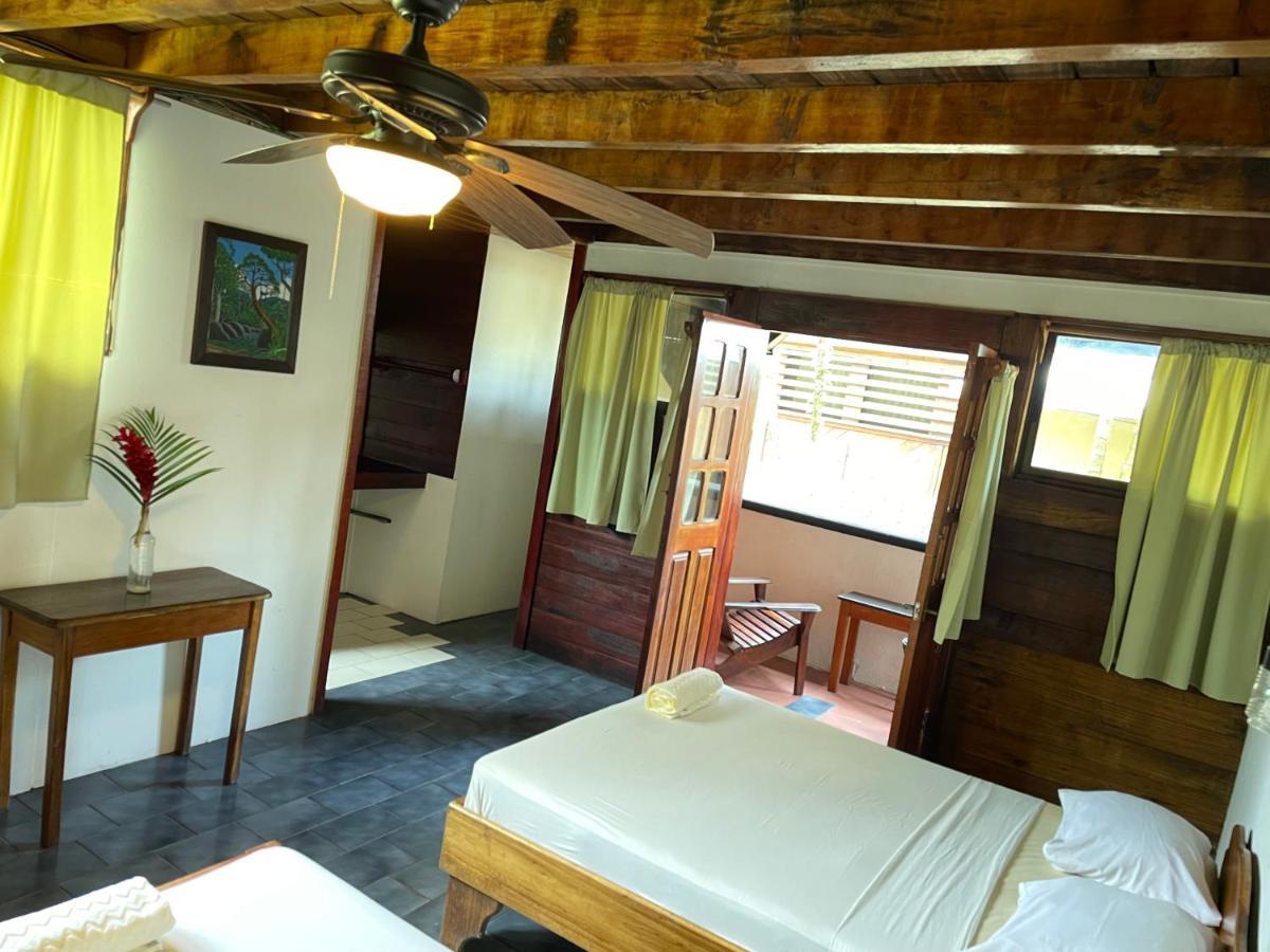 Perla Negra Beachfront Puerto Viejo de Talamanca 외부 사진