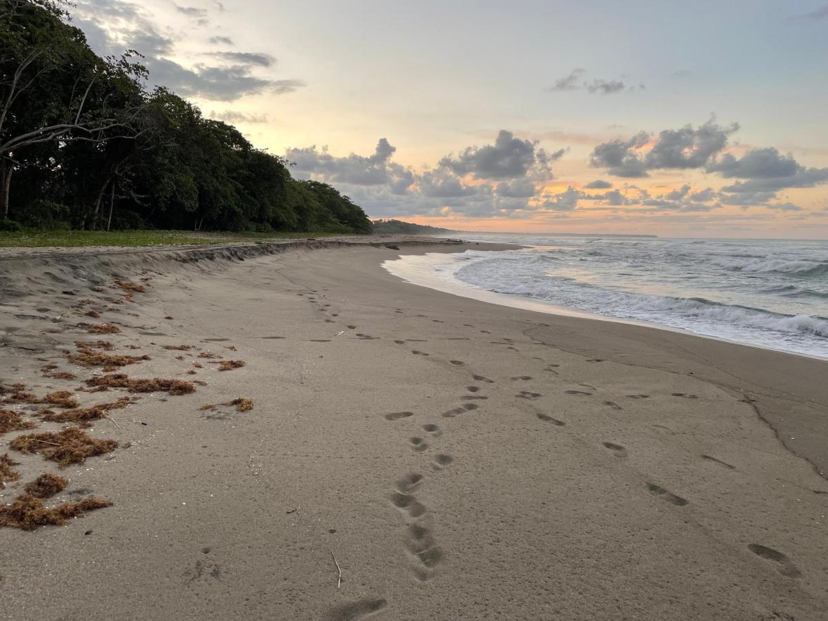 Perla Negra Beachfront Puerto Viejo de Talamanca 외부 사진