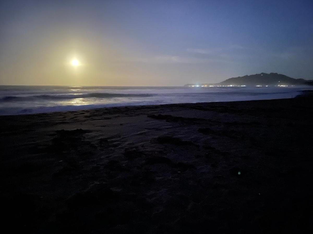 Perla Negra Beachfront Puerto Viejo de Talamanca 외부 사진