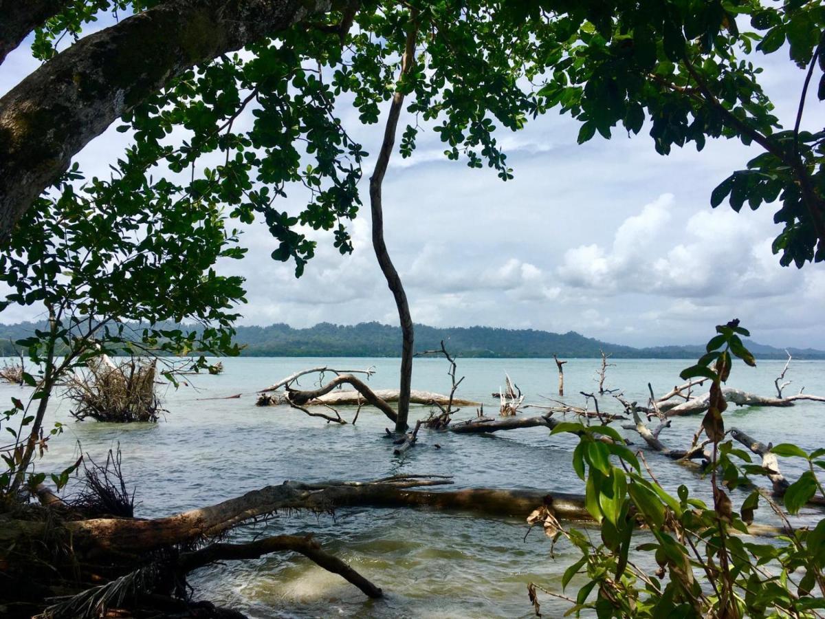 Perla Negra Beachfront Puerto Viejo de Talamanca 외부 사진