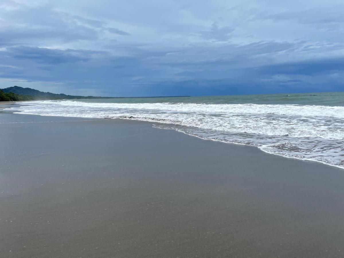 Perla Negra Beachfront Puerto Viejo de Talamanca 외부 사진
