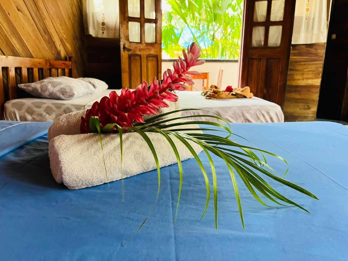 Perla Negra Beachfront Puerto Viejo de Talamanca 외부 사진