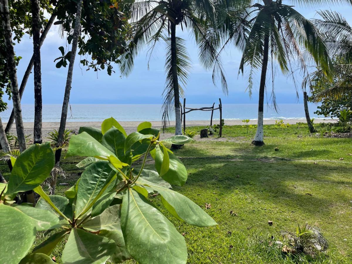 Perla Negra Beachfront Puerto Viejo de Talamanca 외부 사진
