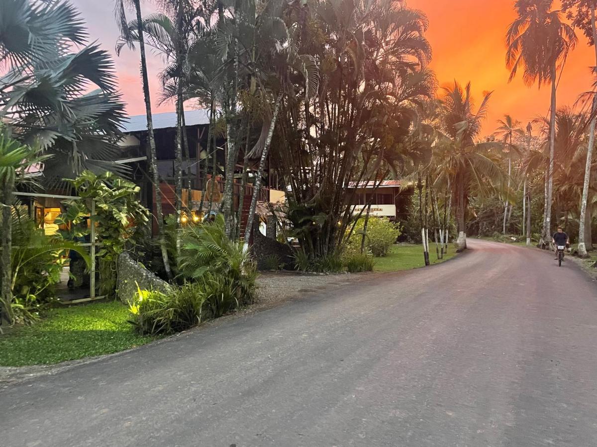 Perla Negra Beachfront Puerto Viejo de Talamanca 외부 사진