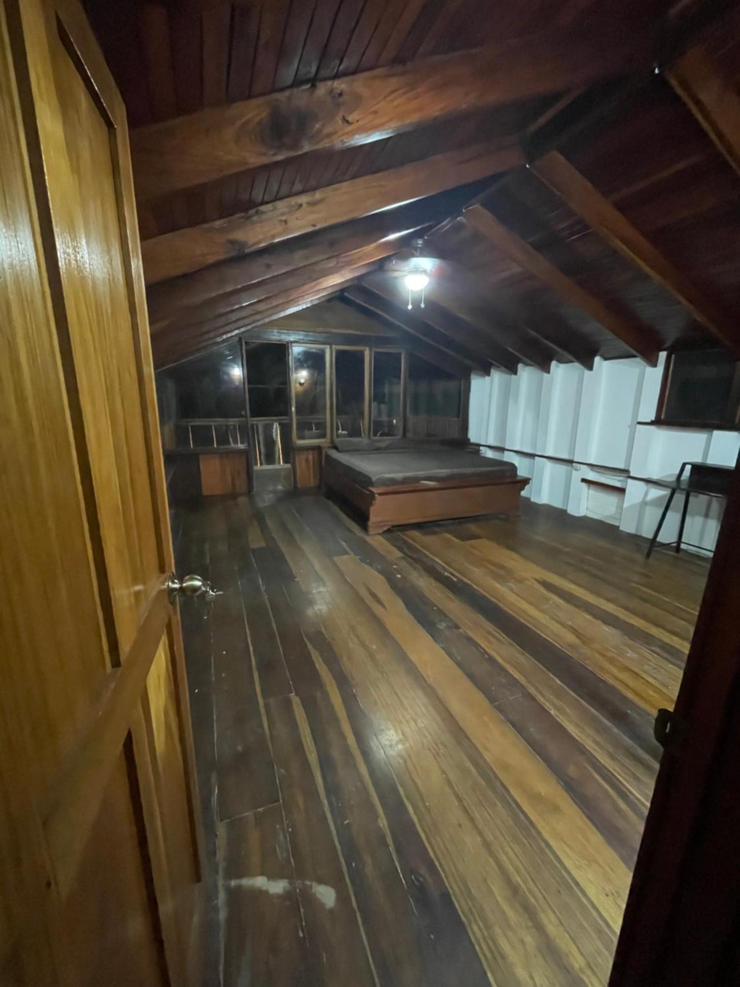 Perla Negra Beachfront Puerto Viejo de Talamanca 외부 사진