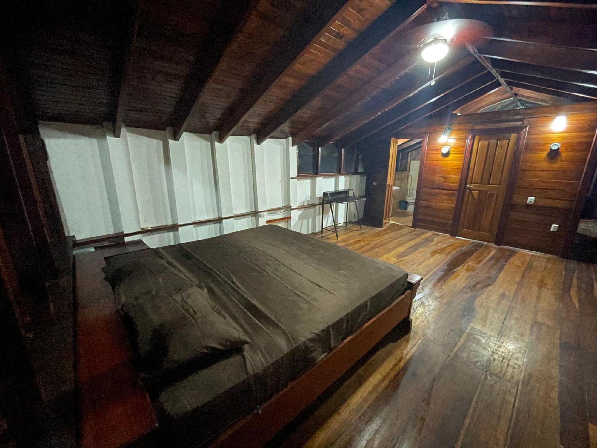 Perla Negra Beachfront Puerto Viejo de Talamanca 외부 사진