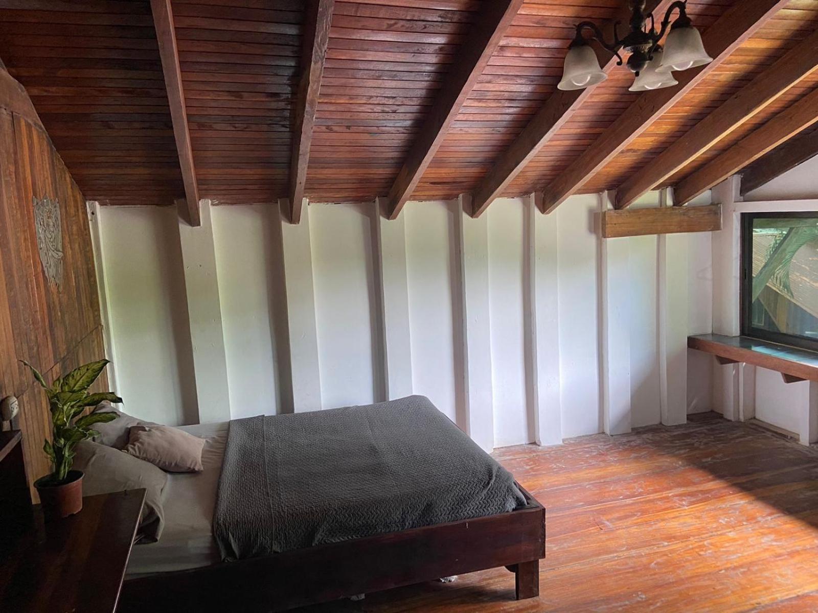 Perla Negra Beachfront Puerto Viejo de Talamanca 외부 사진