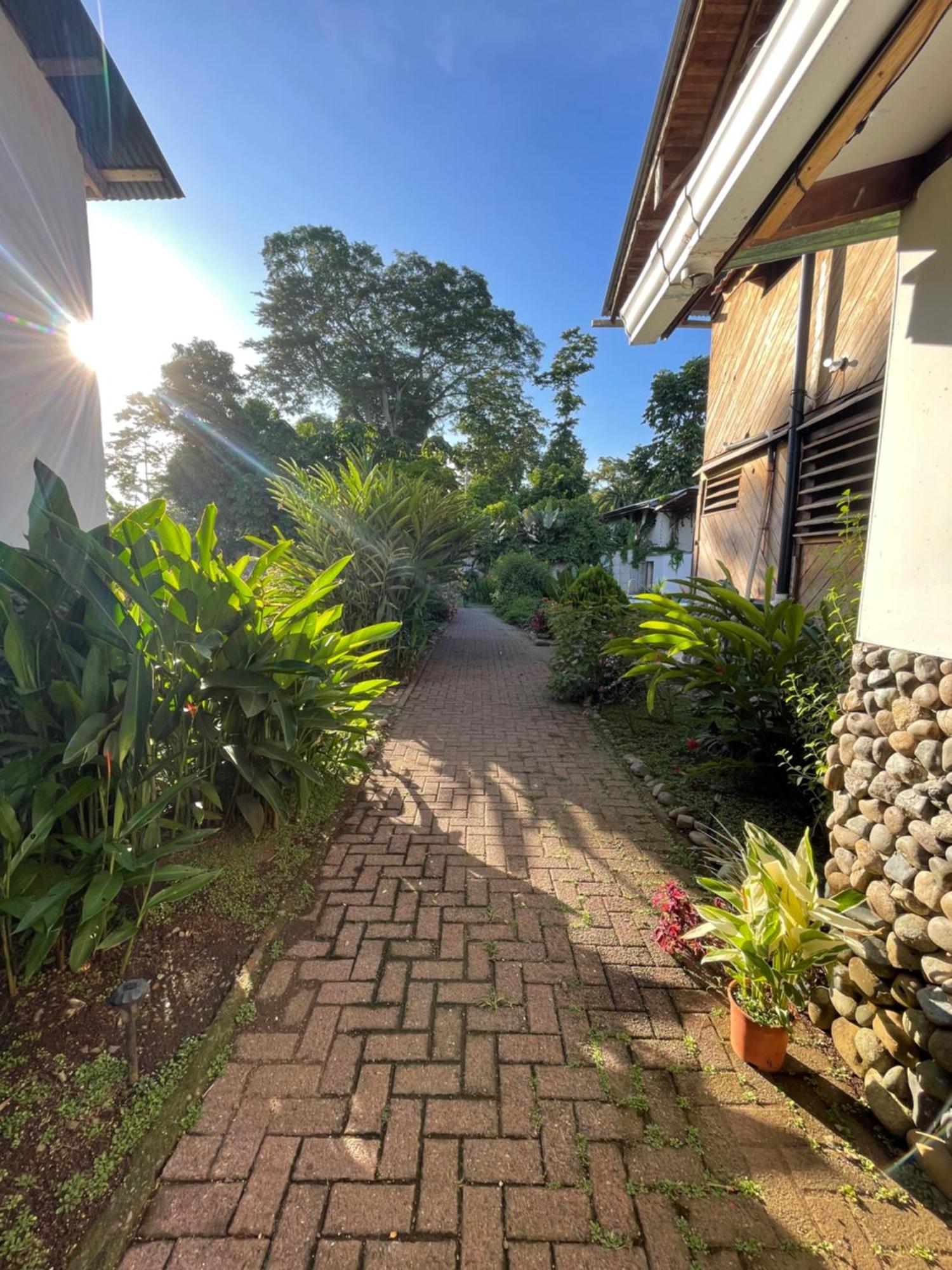 Perla Negra Beachfront Puerto Viejo de Talamanca 외부 사진