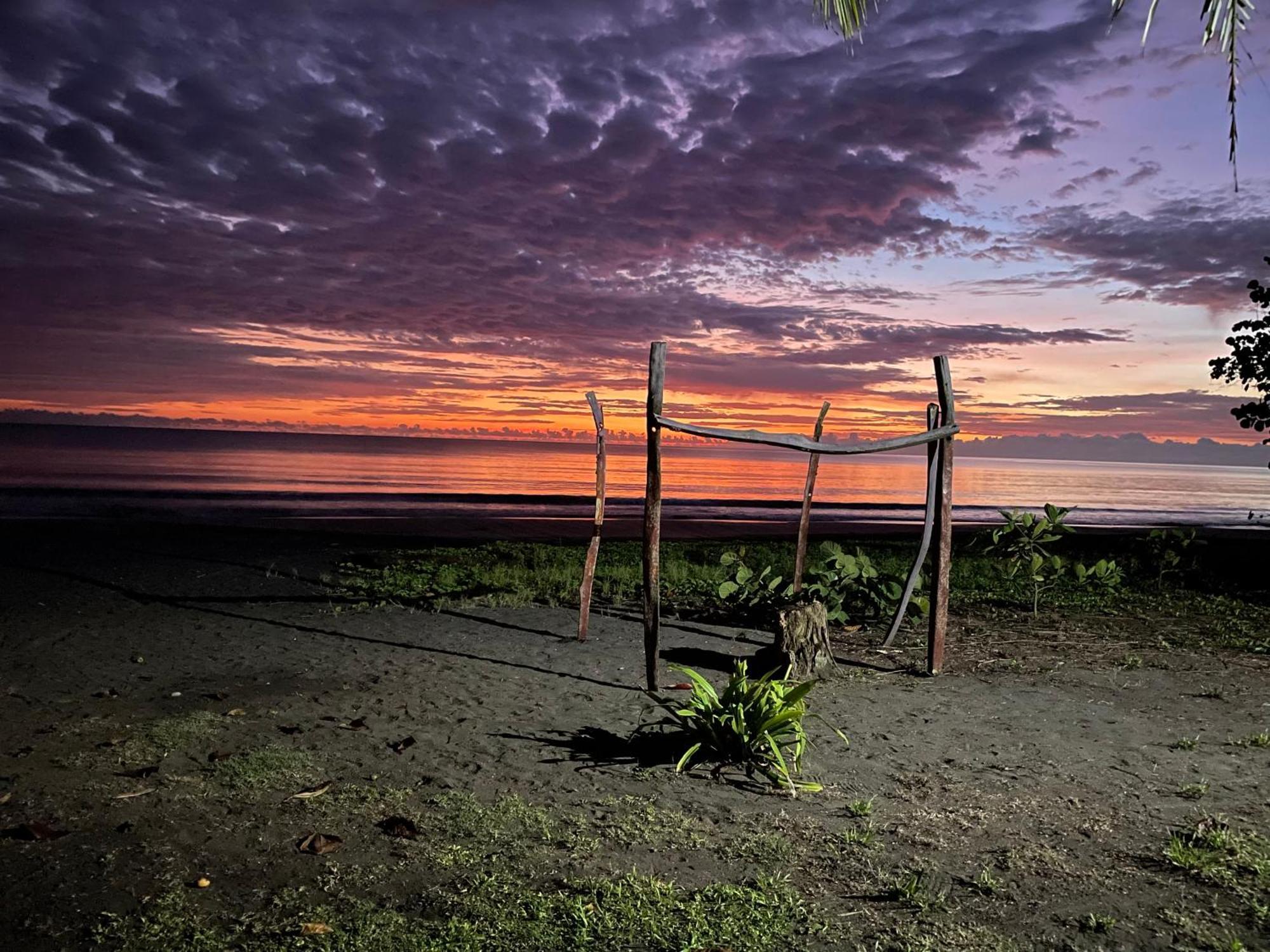 Perla Negra Beachfront Puerto Viejo de Talamanca 외부 사진