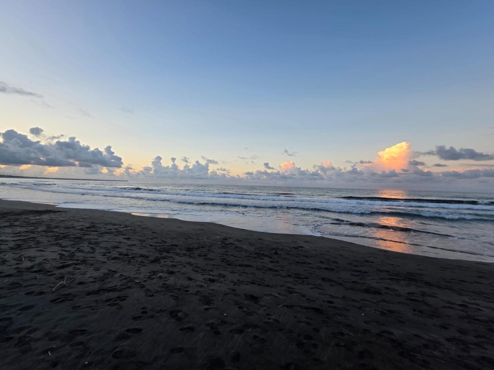Perla Negra Beachfront Puerto Viejo de Talamanca 외부 사진